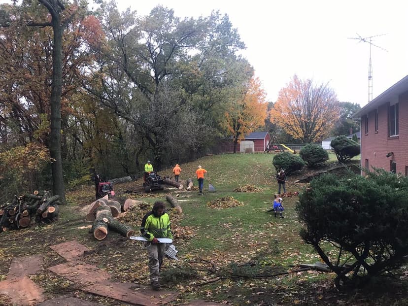 Stump Busters tree service work photo 2