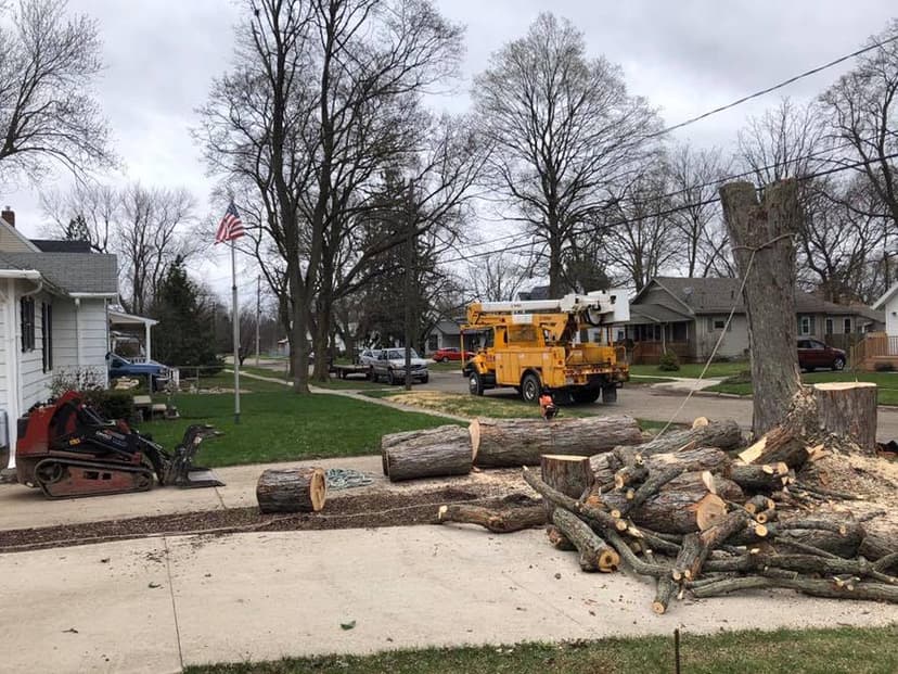 Stump Busters tree service work photo 4