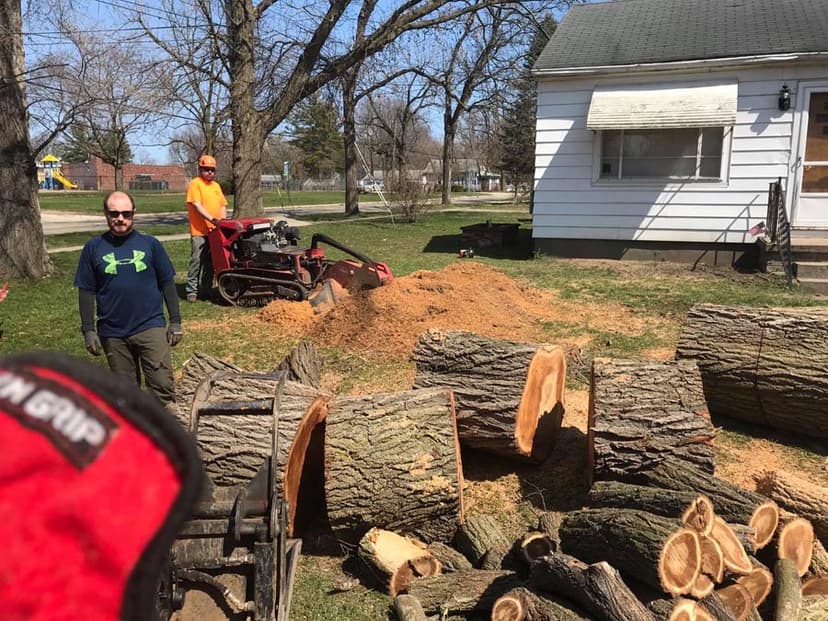Stump Busters tree service work photo 7