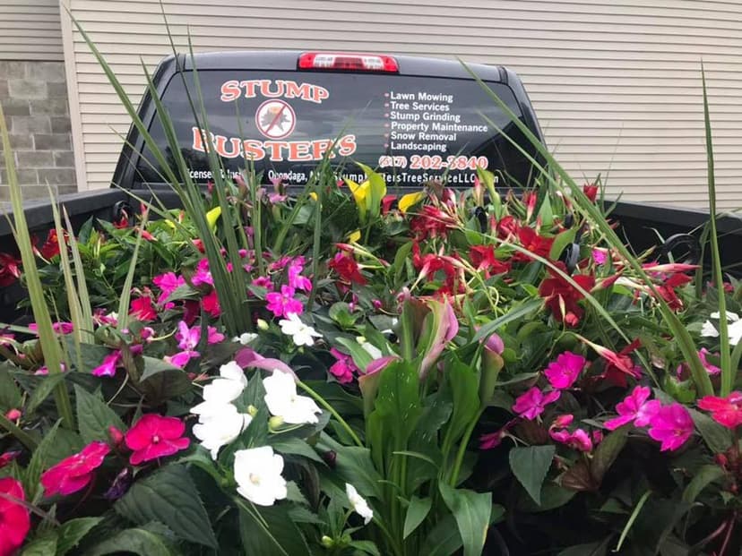 Stump Busters tree service work photo 10