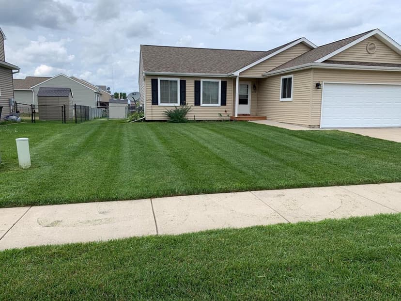 Stump Busters tree service work photo 15