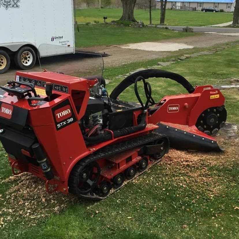 Stump Busters tree service work photo 21