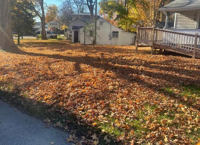 Stump Busters tree service work photo 23
