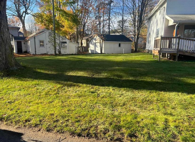 Stump Busters tree service work photo 24