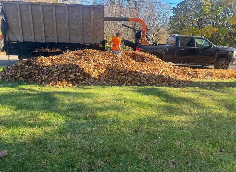 Stump Busters tree service work photo 25